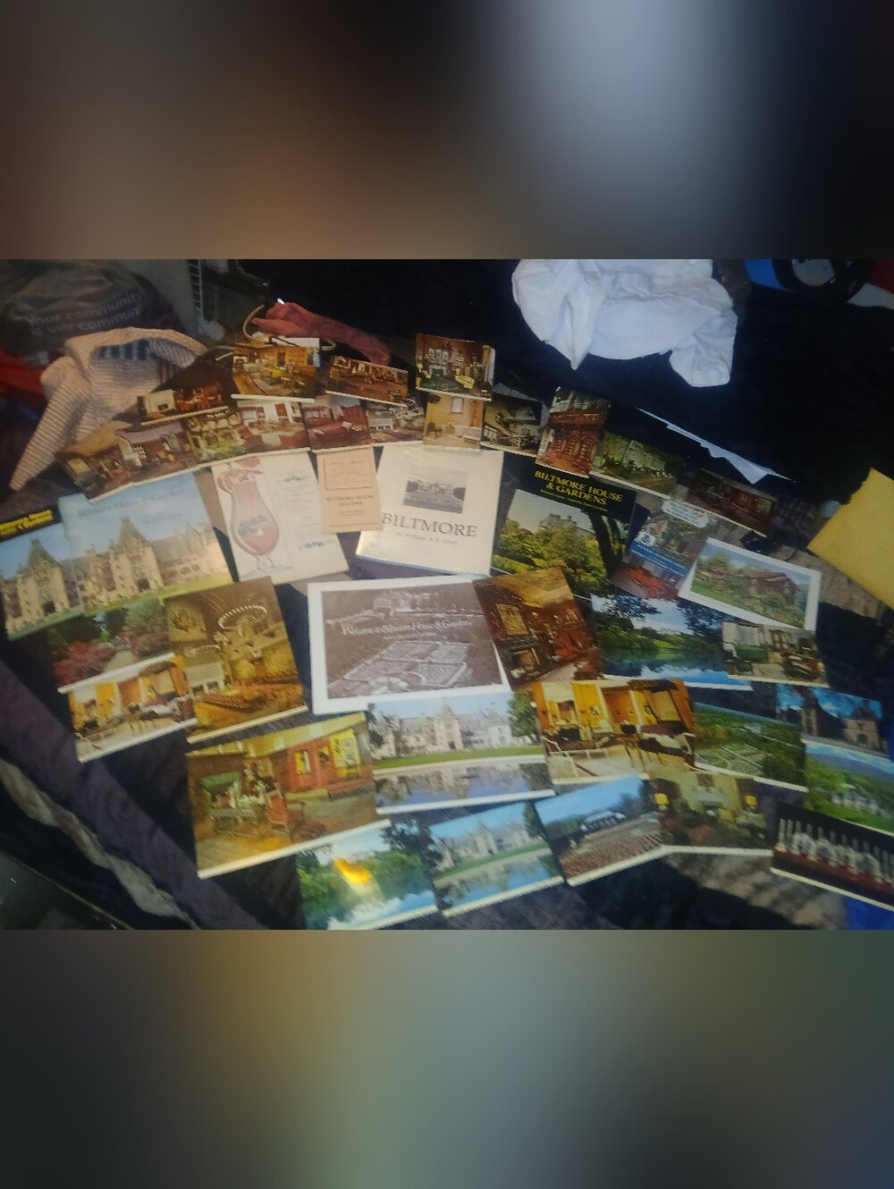 very Large Collection of Biltmore House Postcards and Brocures from the 80s